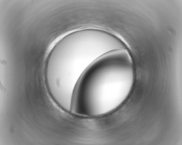 X0000091201508200708091031
