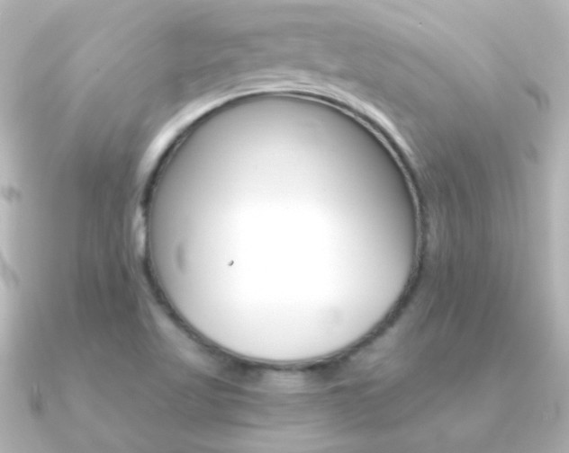 X0000091201509200708091031