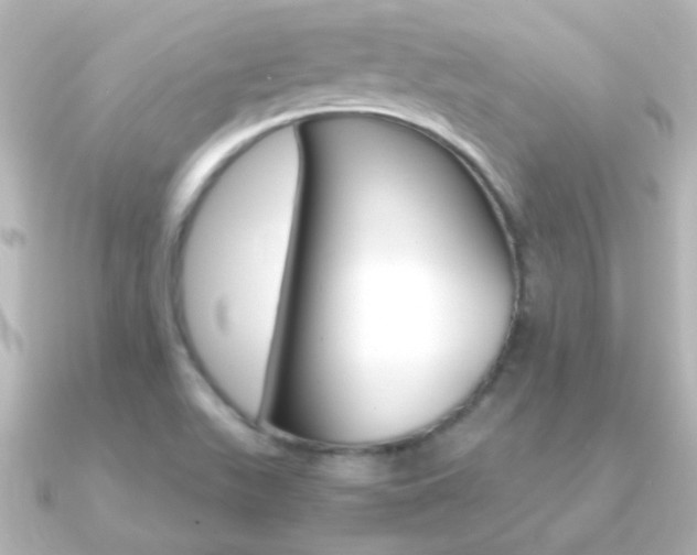 X0000091201511200708091031