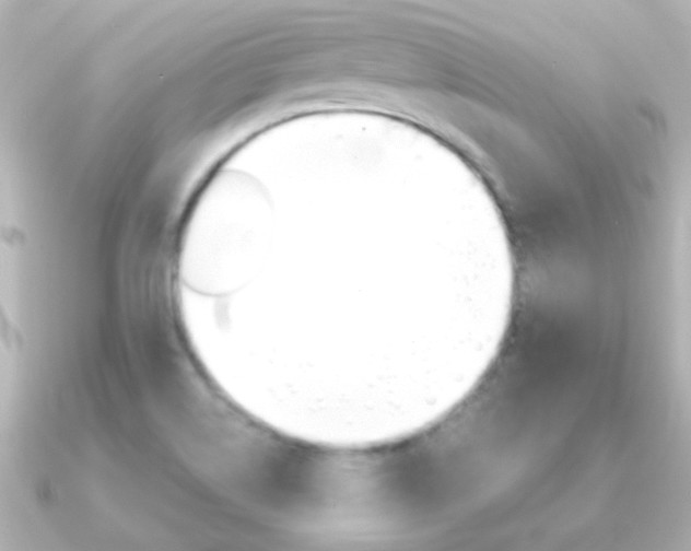 X0000091201514200708091031