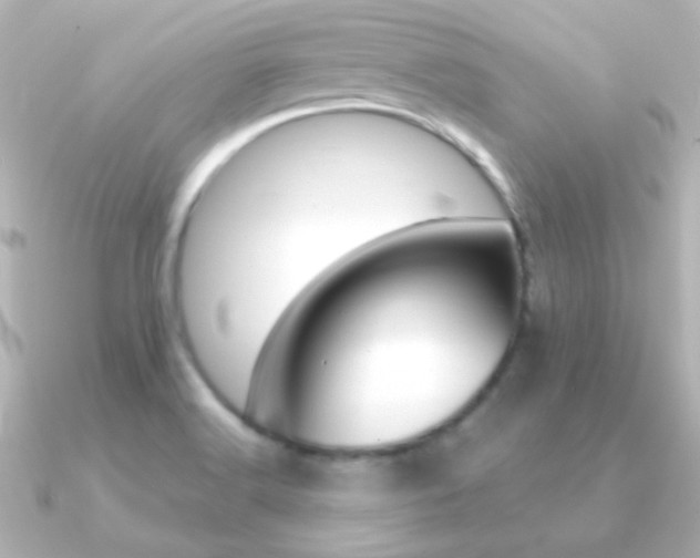 X0000091201516200708091031