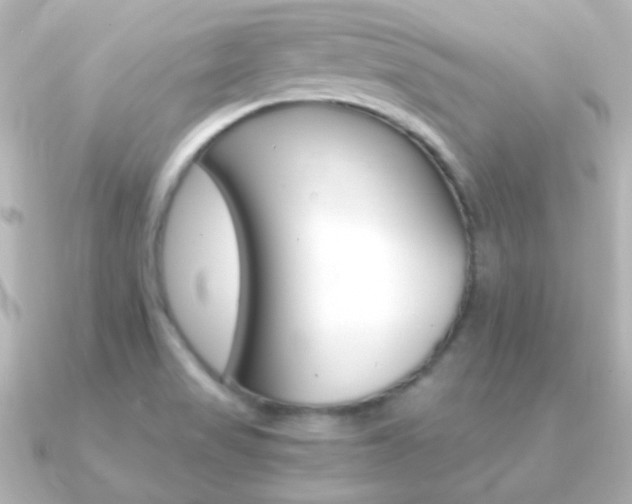 X0000091201517200708091031
