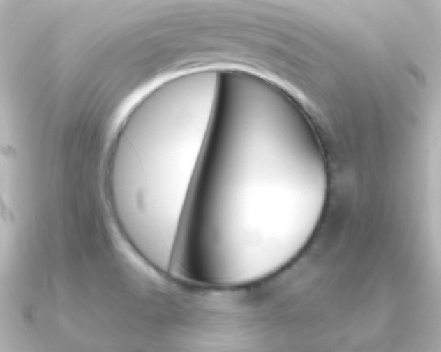 X0000091201518200708091031
