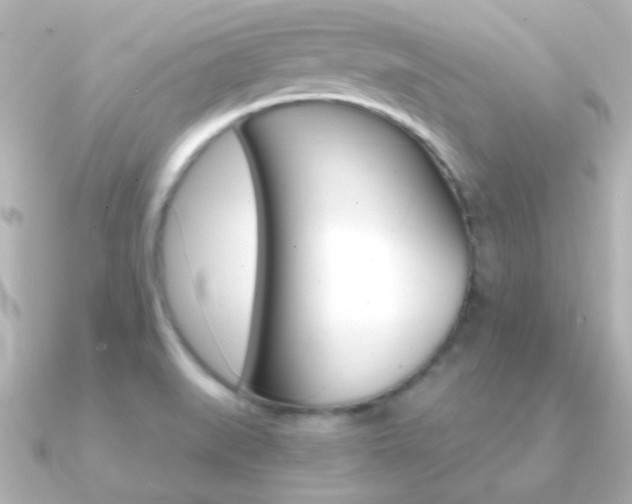 X0000091201519200708091031