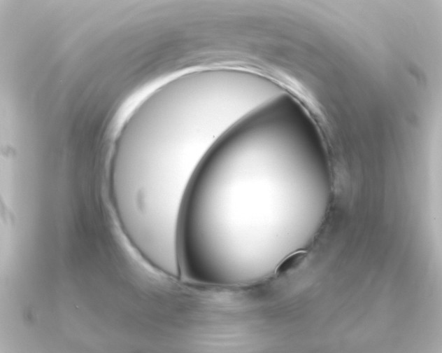 X0000091201520200708091031