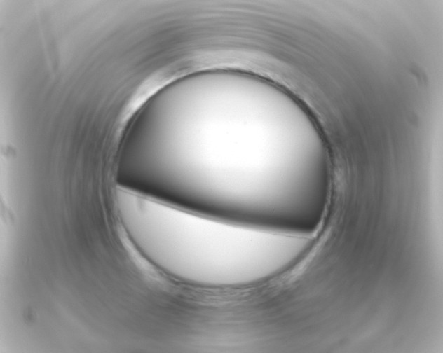 X0000091201521200708091031