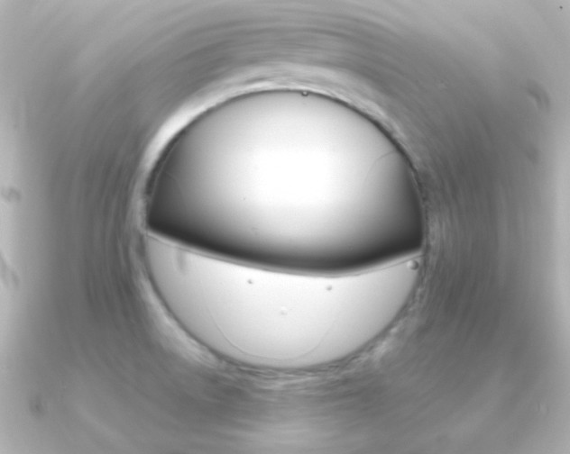X0000091201522200708091031