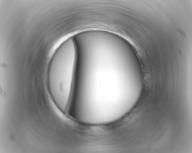 X0000091201523200708091031