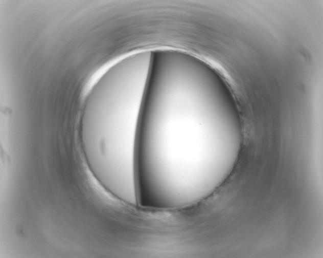 X0000091201524200708091031