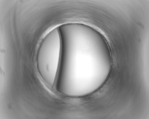 X0000091201525200708091031