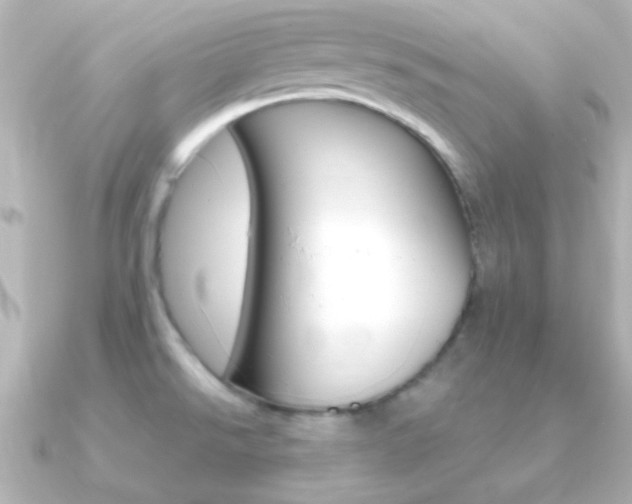 X0000091201526200708091031
