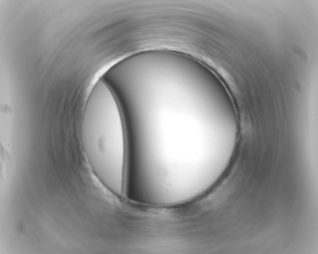 X0000091201529200708091031