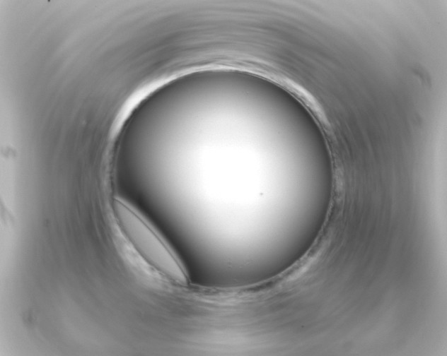 X0000091201530200708091031