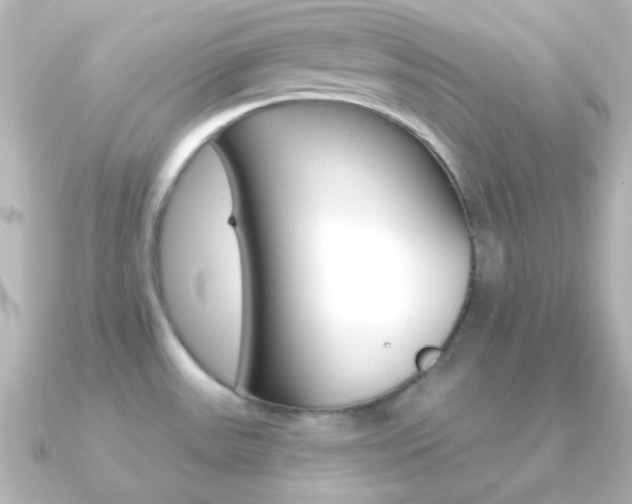 X0000091201531200708091031