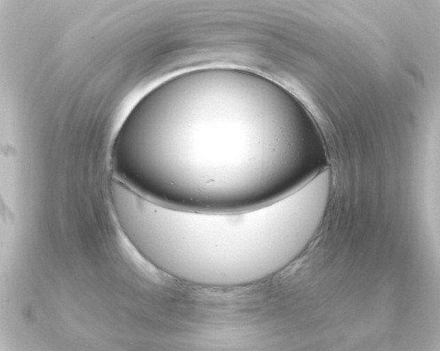 X0000091201532200708091031