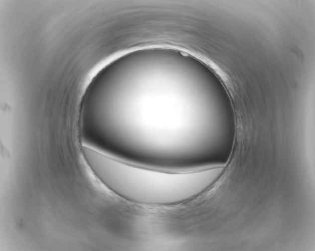 X0000091201534200708091031