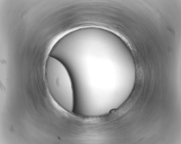 X0000091201535200708091031