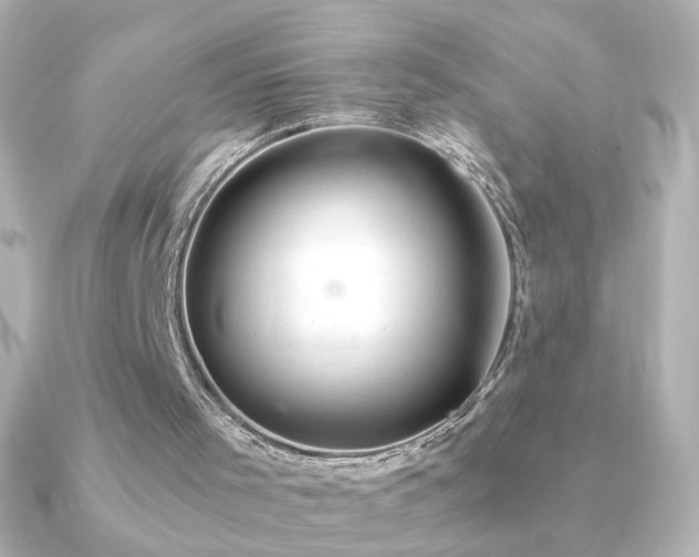 X0000091200001200708091315