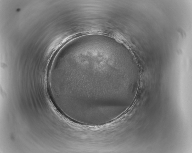 X0000091200002200708091315