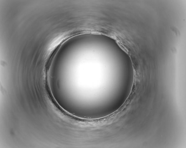 X0000091200005200708091315