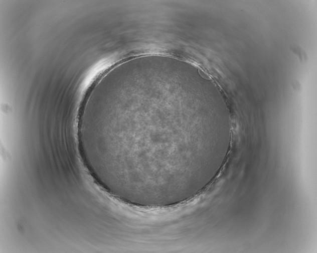 X0000091200006200708091315