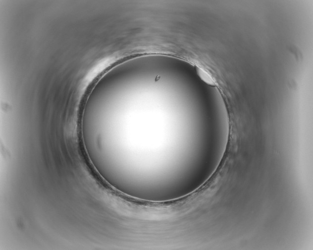 X0000091200008200708091315