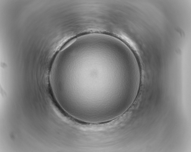 X0000091200009200708091315