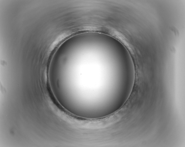 X0000091200011200708091315