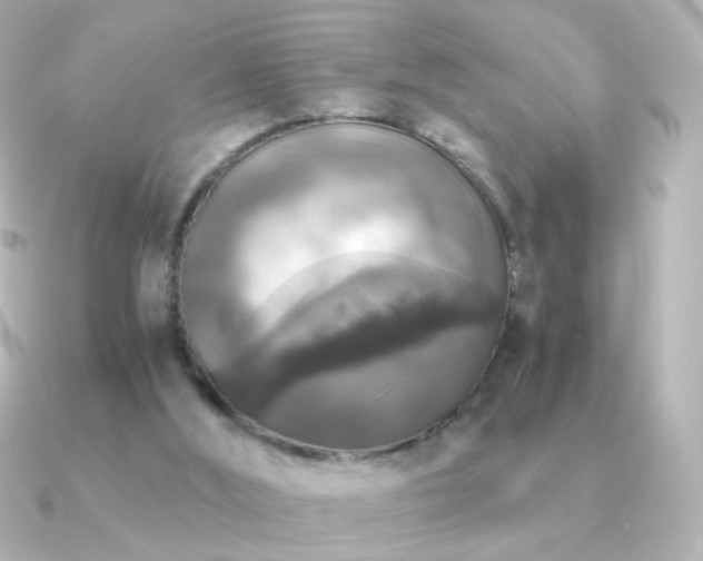 X0000091200012200708091315