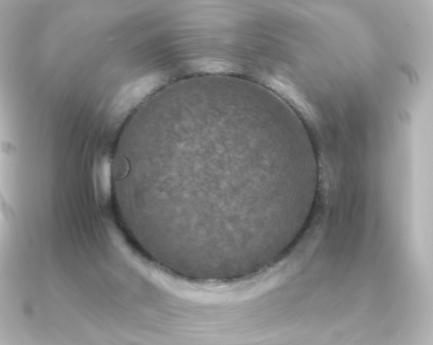 X0000091200014200708091315