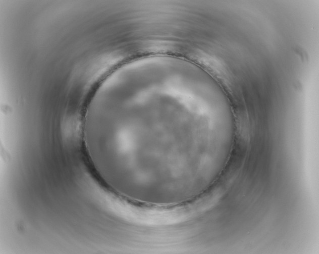 X0000091200016200708091315