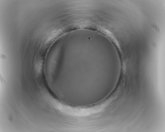 X0000091200018200708091315