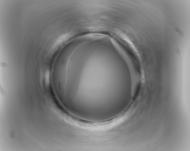 X0000091200019200708091315