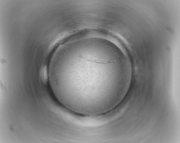 X0000091200020200708091315