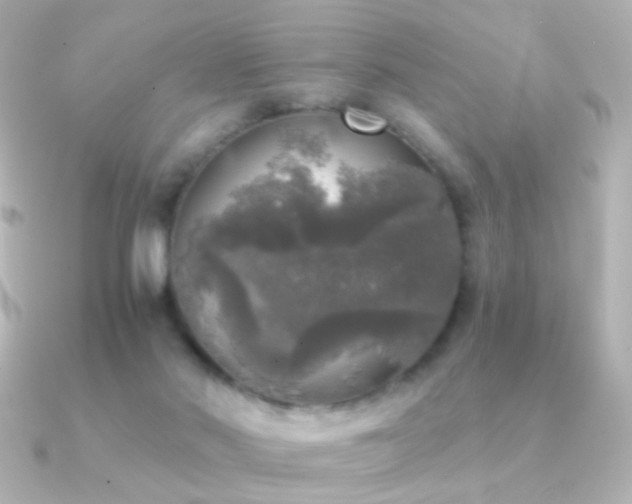 X0000091200022200708091315