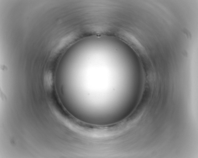 X0000091200024200708091315