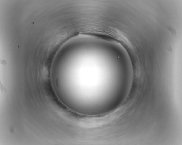 X0000091200025200708091315
