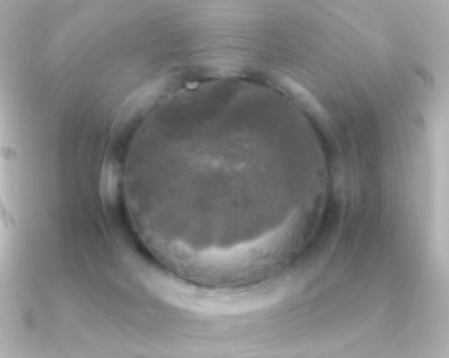 X0000091200026200708091315