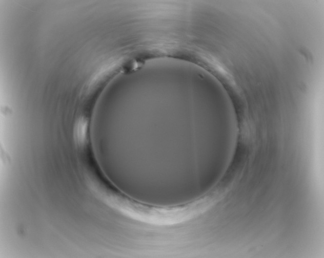X0000091200027200708091315