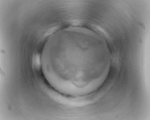 X0000091200028200708091315