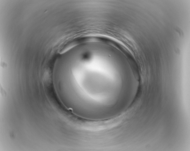 X0000091200029200708091315