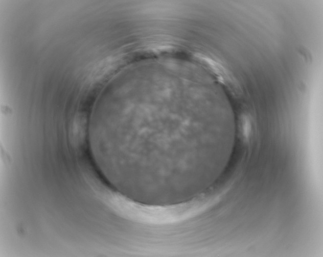 X0000091200030200708091315