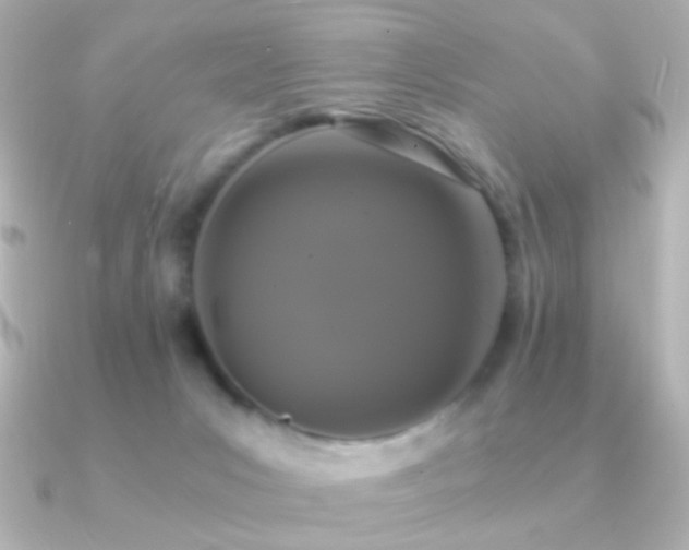X0000091200031200708091315
