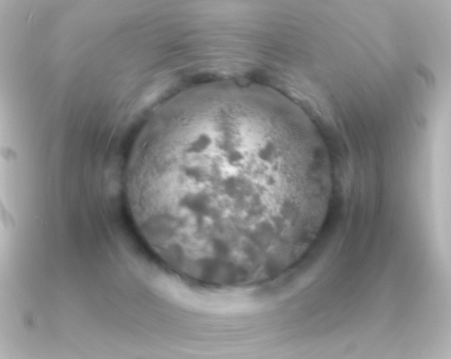 X0000091200032200708091315