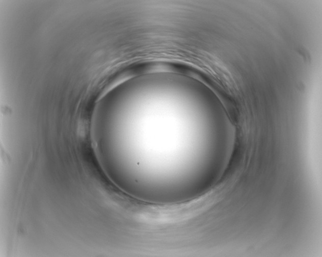 X0000091200033200708091315