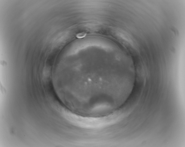X0000091200034200708091315