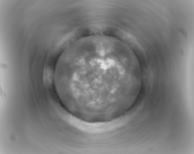 X0000091200038200708091315