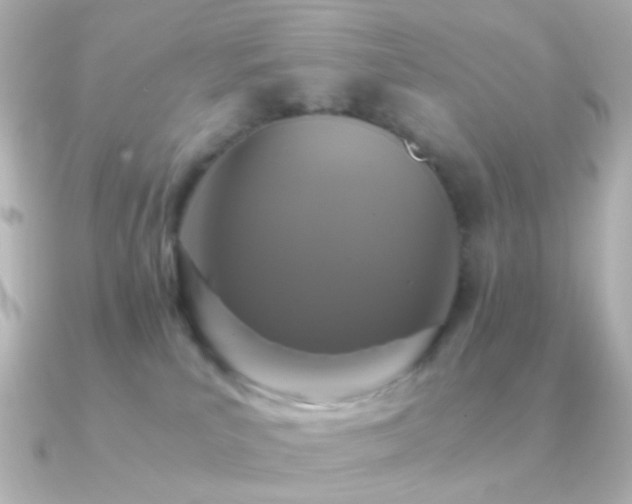 X0000091200039200708091315