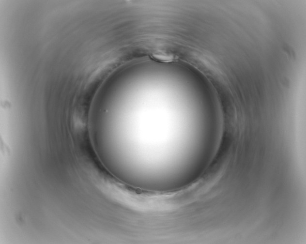 X0000091200040200708091315
