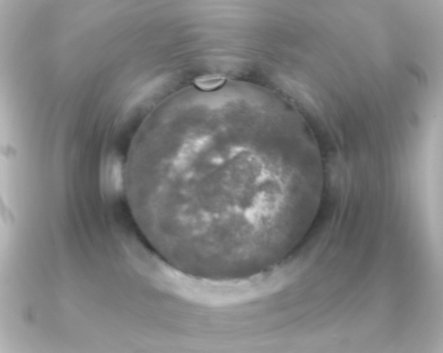 X0000091200042200708091315